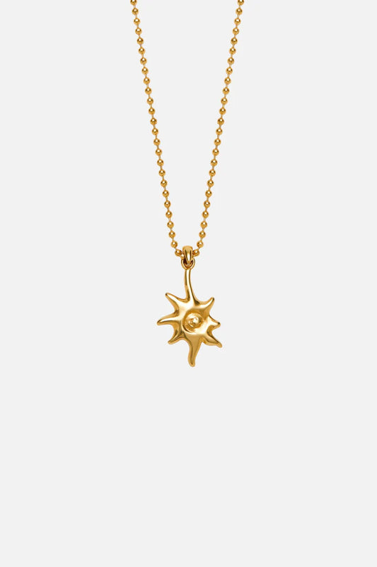 Michael | Mannen gouden zon ketting
