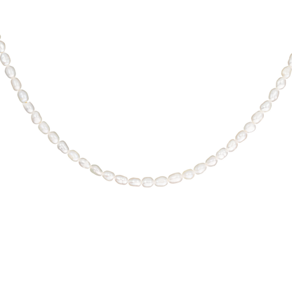 Afbeelding van de Lora Lux Ketting Verfijnd, een elegante parelketting met een verfijnde uitstraling. Het ontwerp bestaat uit een rij witte parels, perfect geschikt voor elke gelegenheid en een verfijnde toevoeging aan je sieradencollectie.